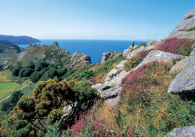 Valley of Rocks.jpg